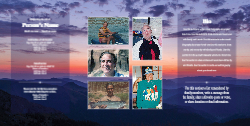 Layout 3