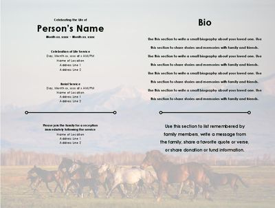 Layout 5