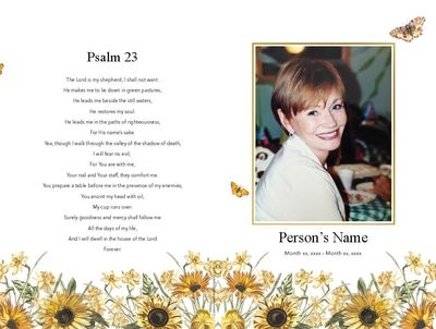 Layout  2