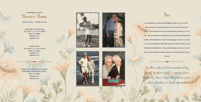 Layout 3