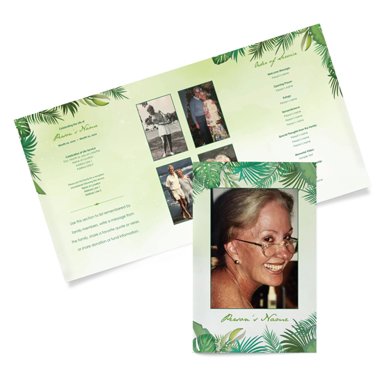 Rain Forrest - Tri-fold Programs